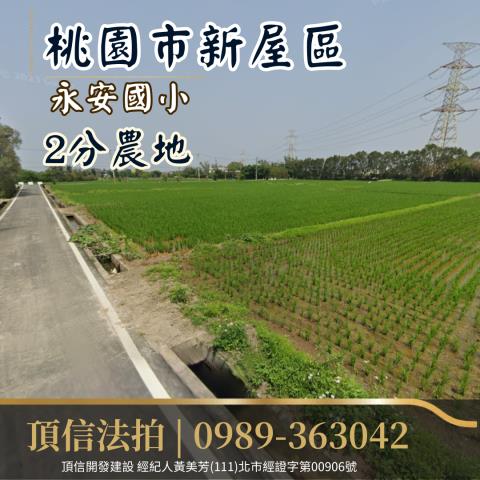 桃園拍賣農地-1