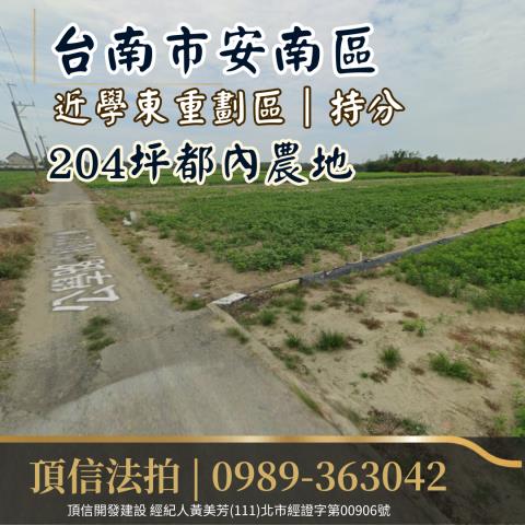 安南法拍農地-1