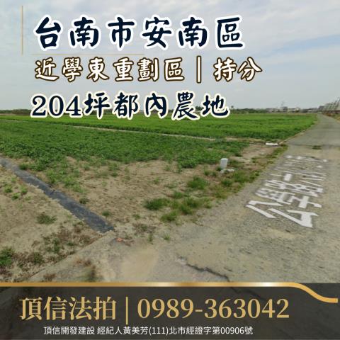安南法拍農地-2
