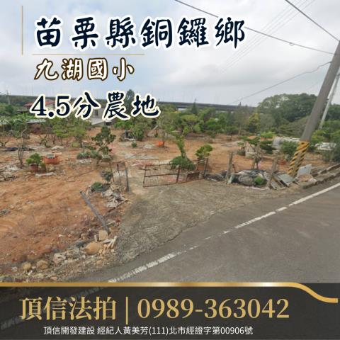 銅鑼農地法拍-4