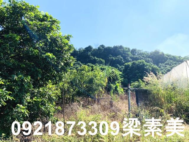 楠西農地-12