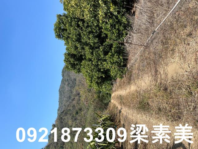楠西農地-1