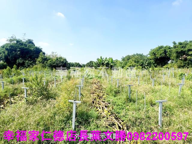 柳營農地-9