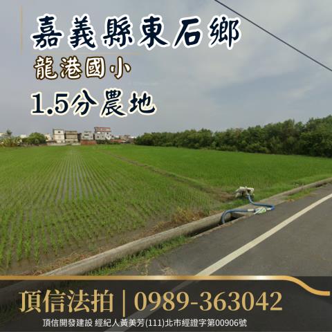 東石法拍農地-2