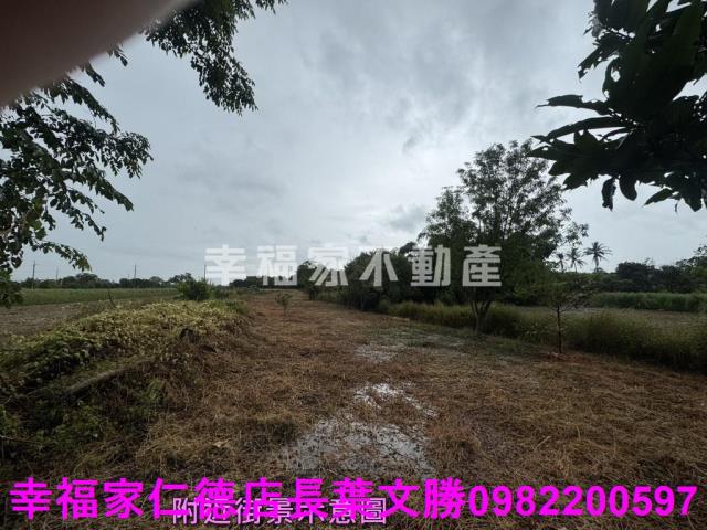 台南東山農地-3