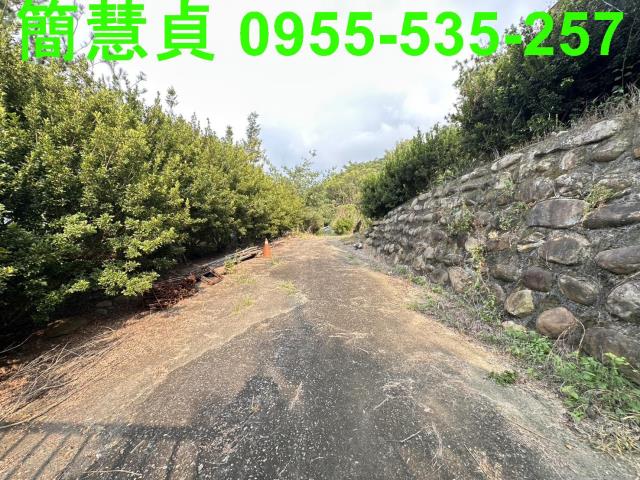 草屯農地-10