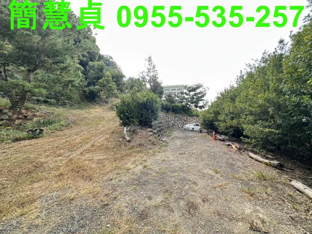 草屯農地-9