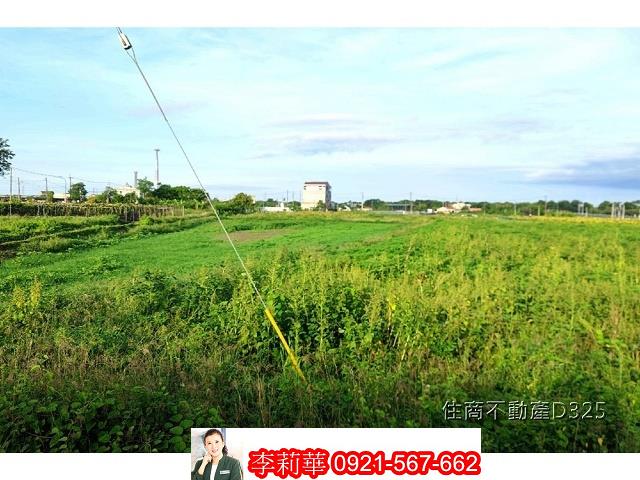 柳營農地-10