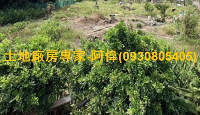 大寮農地-1