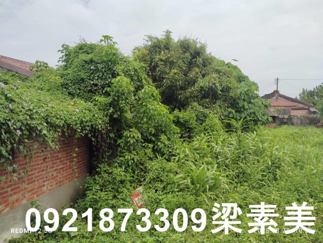 台南官田建地-2