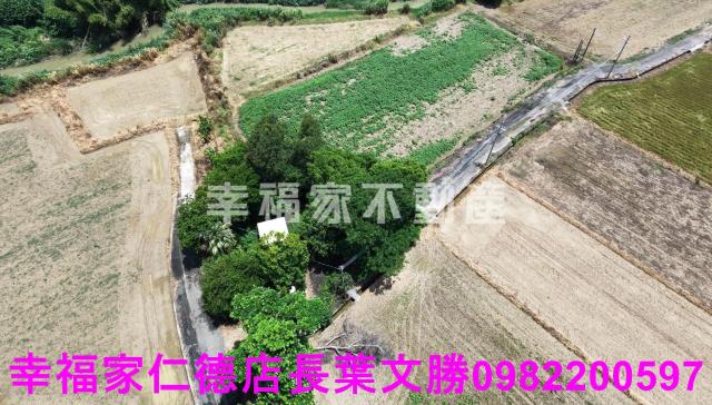 台南新市農地-12
