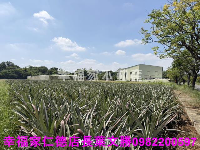 新市農地-3