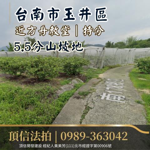 台南玉井法拍農地-1