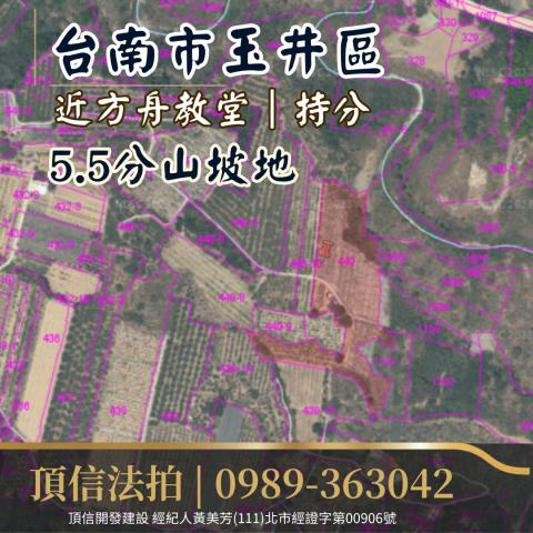 台南玉井法拍農地-3