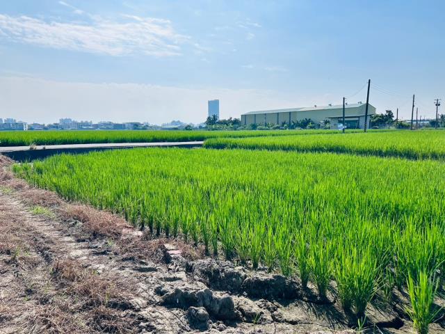 嘉義西區農地-4