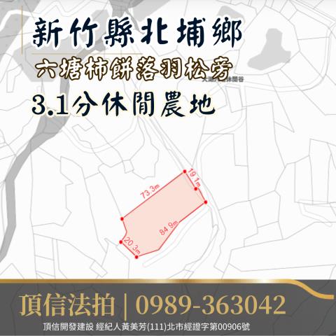 新竹北埔農地法拍-4