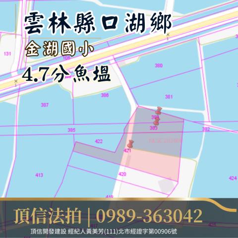 雲林口湖農地法拍-3