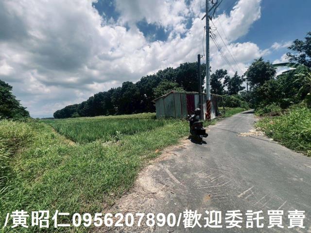 麻豆農地-2