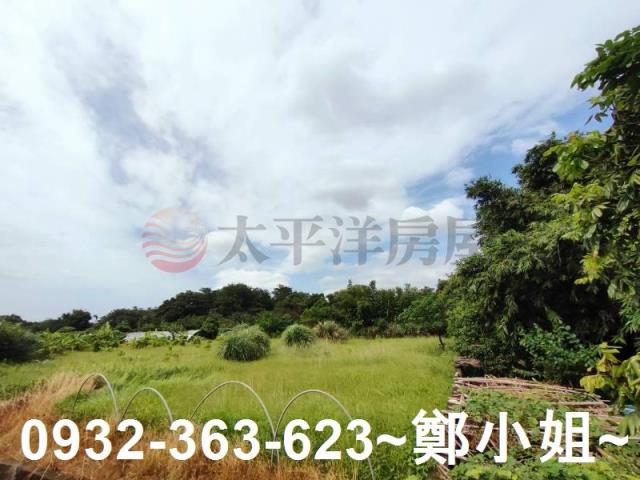 桃園區農地-2