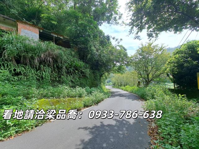 芎林林地-1