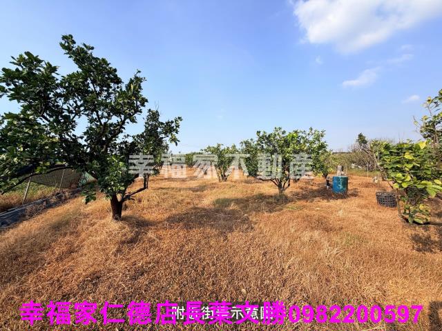 下營農地-12