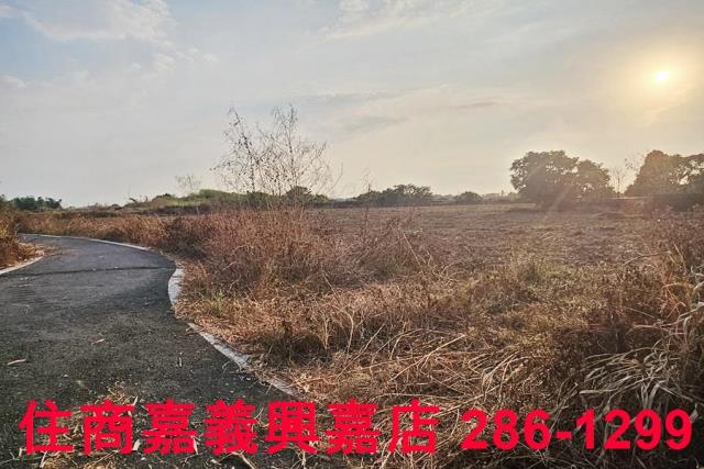 嘉義農地-5