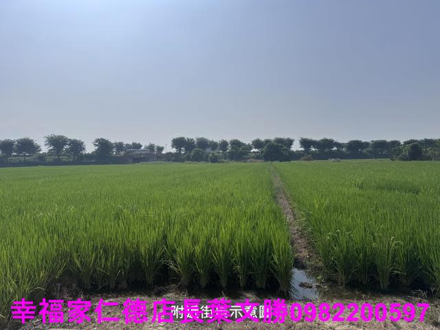 台南後壁農地-13