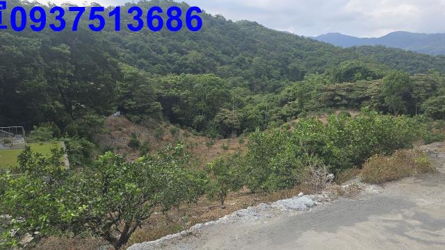 礁溪農地-14
