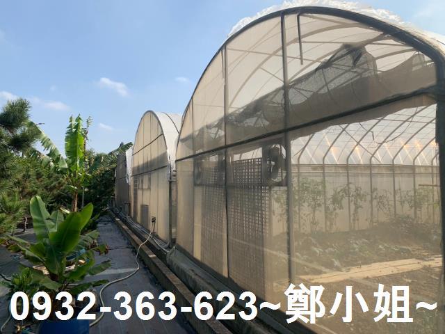 桃園農地-5