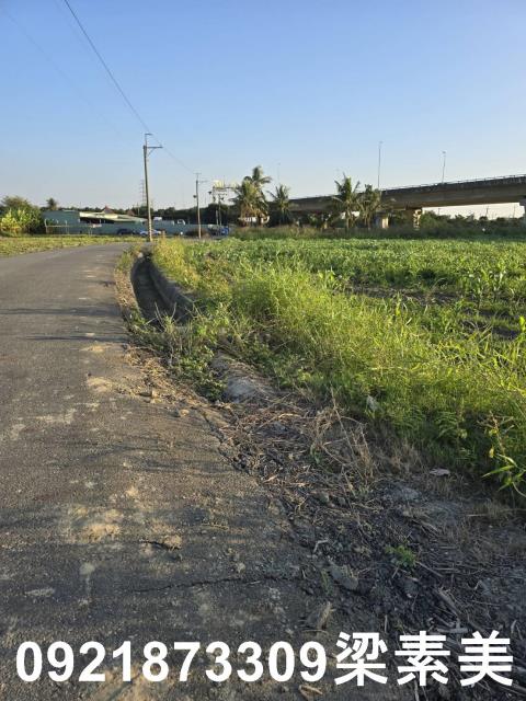 台南新市農地-9