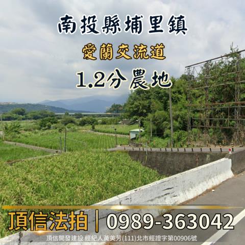南投法拍農地-1
