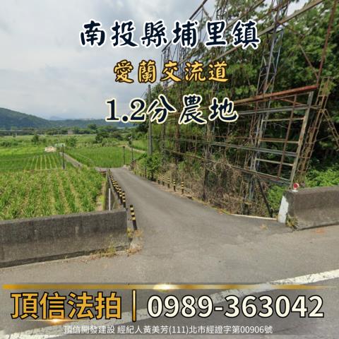 南投法拍農地-2