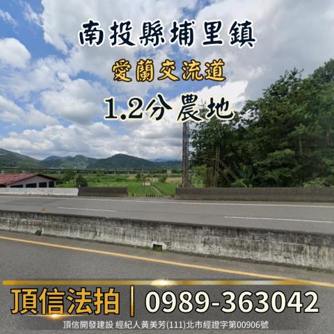 南投法拍農地-3