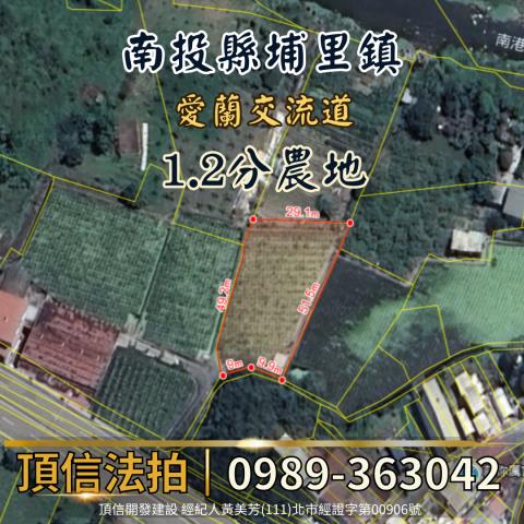 南投法拍農地-4