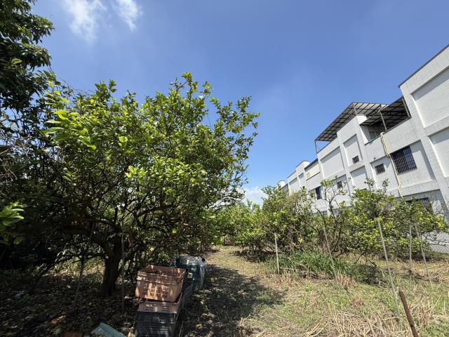 屏東九如建地-2