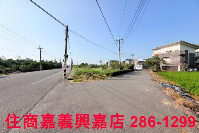 大林農地-3
