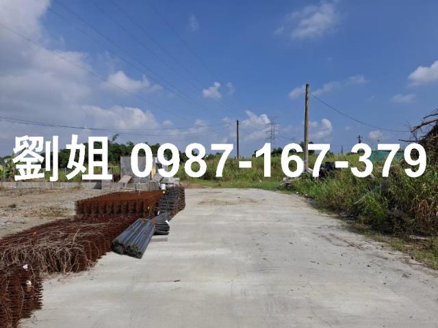 大社農地-1