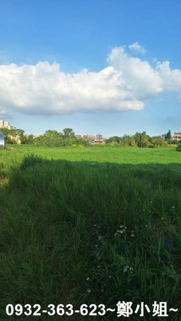 八德農地-7