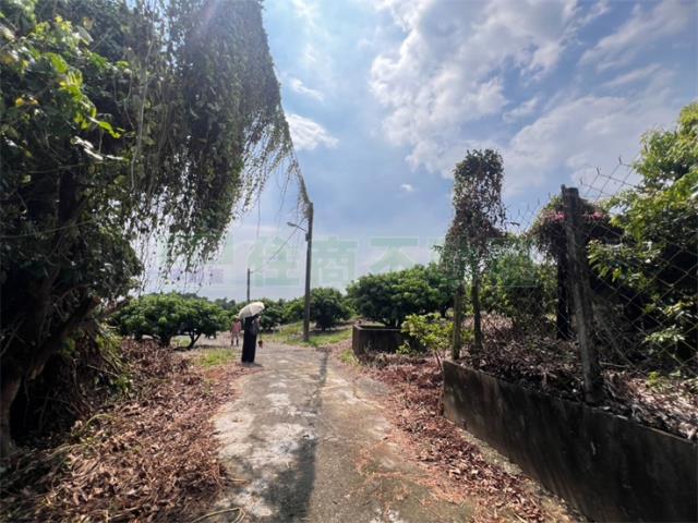 大樹農地-8