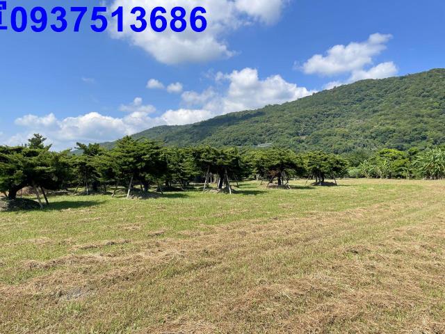 頭城農地-8