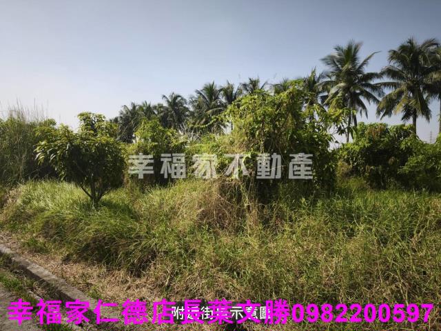 台南農地-12