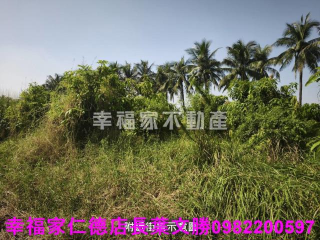 台南農地-4