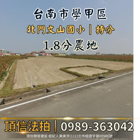 台南法拍農地-2