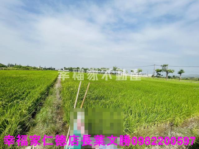 台南柳營農地-14
