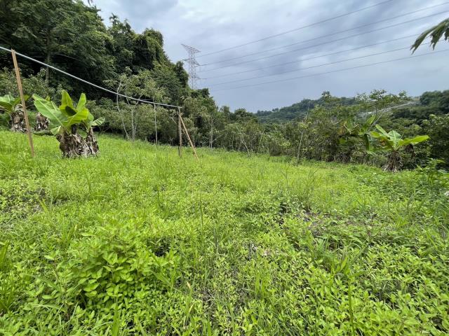 東勢農地-5