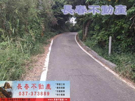 頭份農地-4