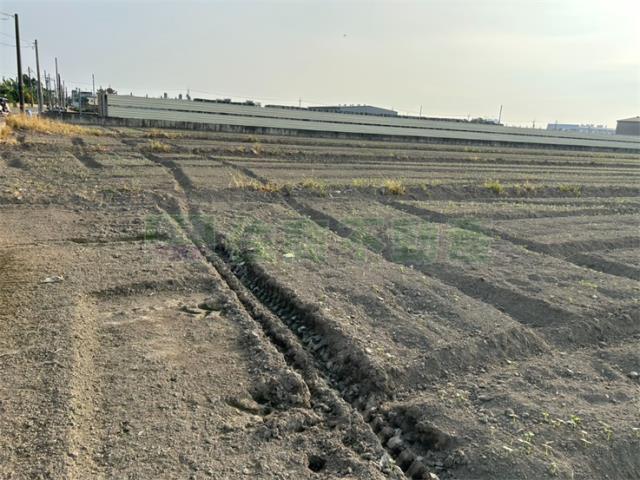 高雄農地-4