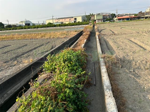 高雄農地-6