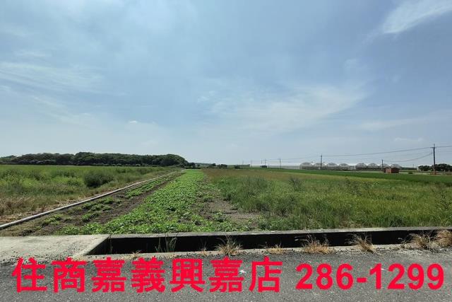 太保農地-4