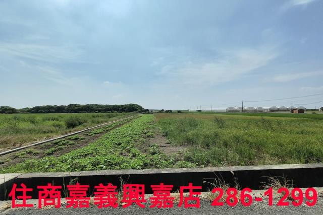 太保農地-5